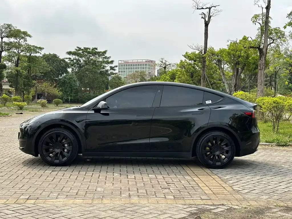 Tesla Model Y — фото 4