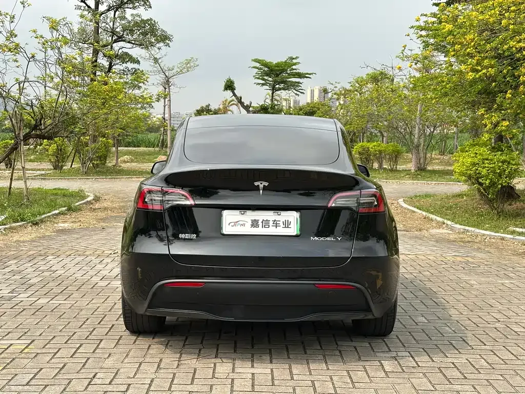 Tesla Model Y — фото 10
