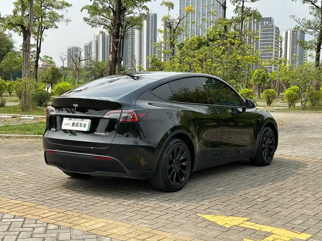 Tesla Model Y — фото 9