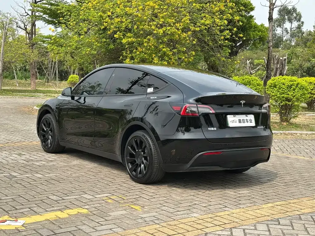 Tesla Model Y — фото 6