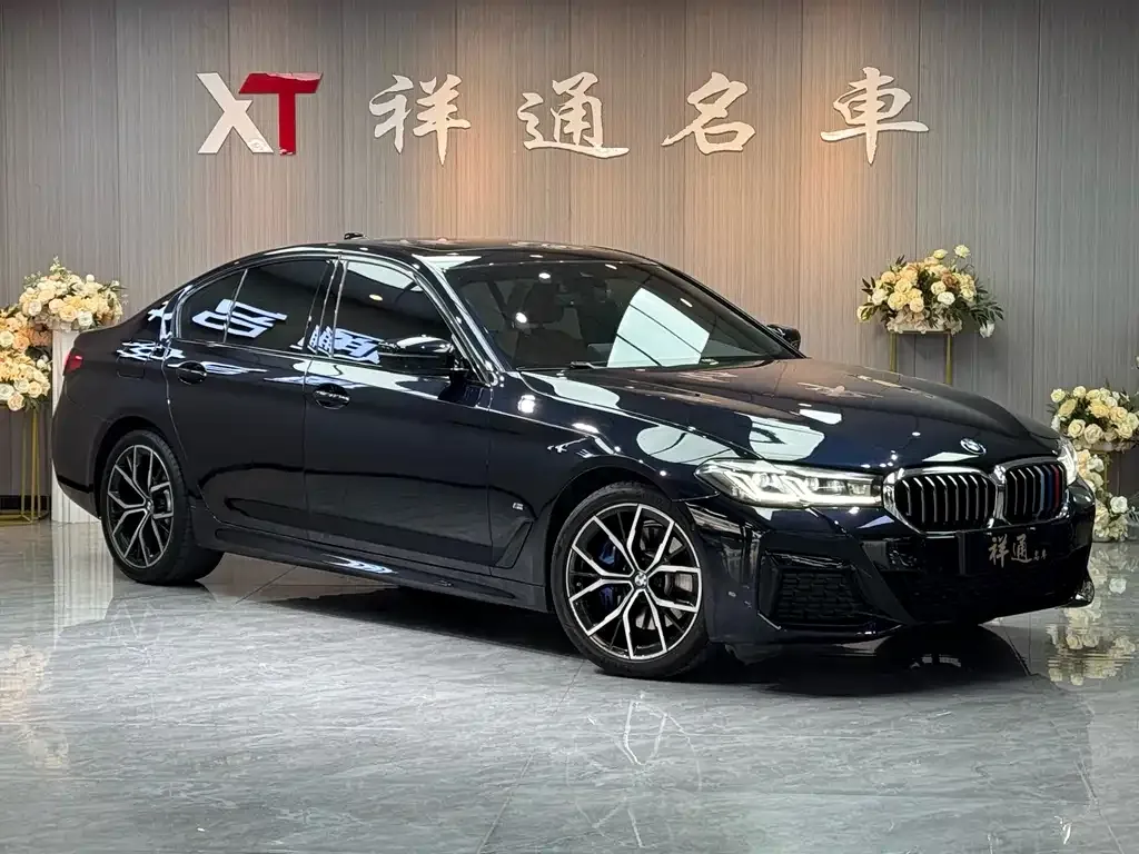 BMW 5 Series (Import) 2022 из CN, фото 4