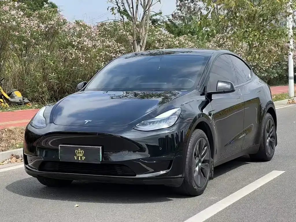 Tesla Model Y — фото 1