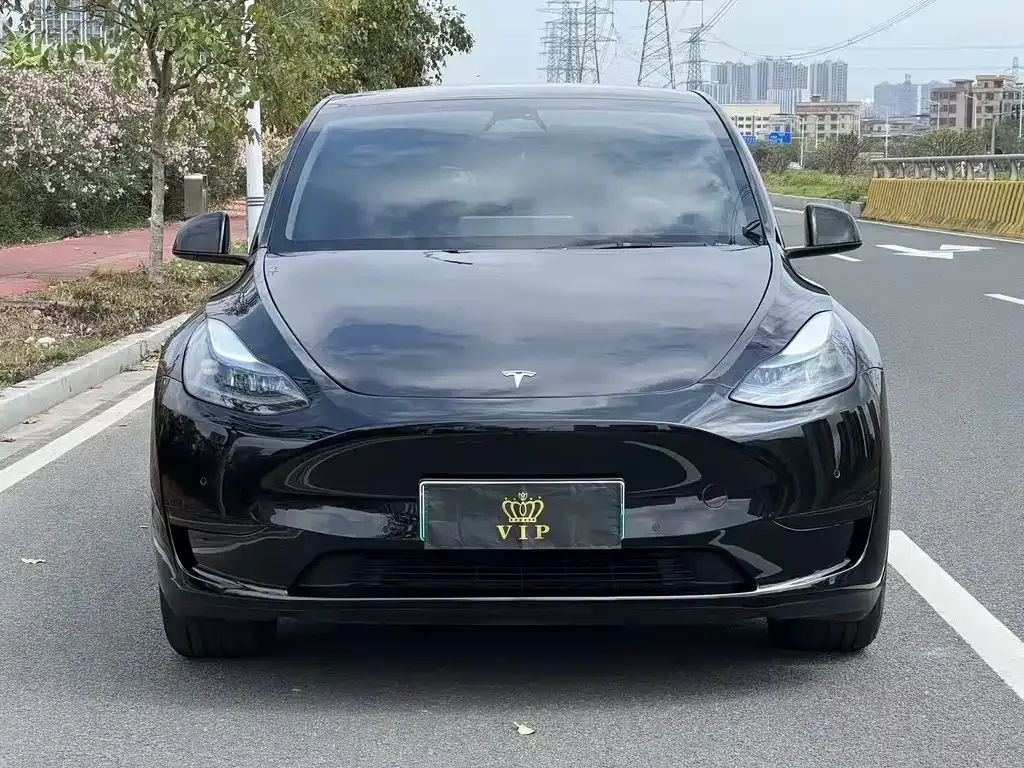 Tesla Model Y — фото 7