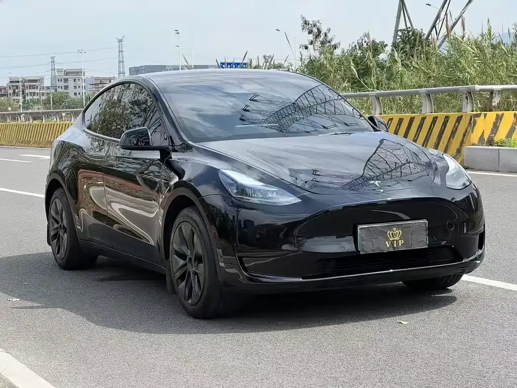Tesla Model Y — фото 8