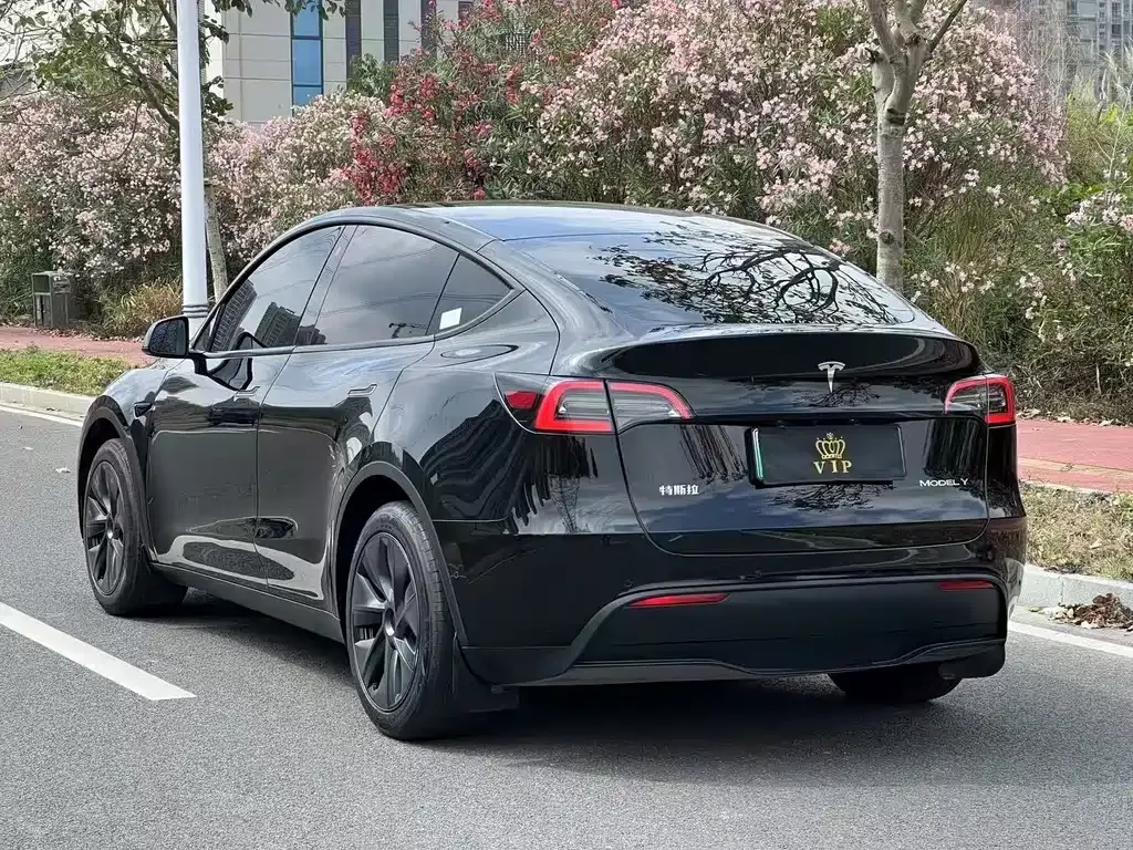 Tesla Model Y — фото 10