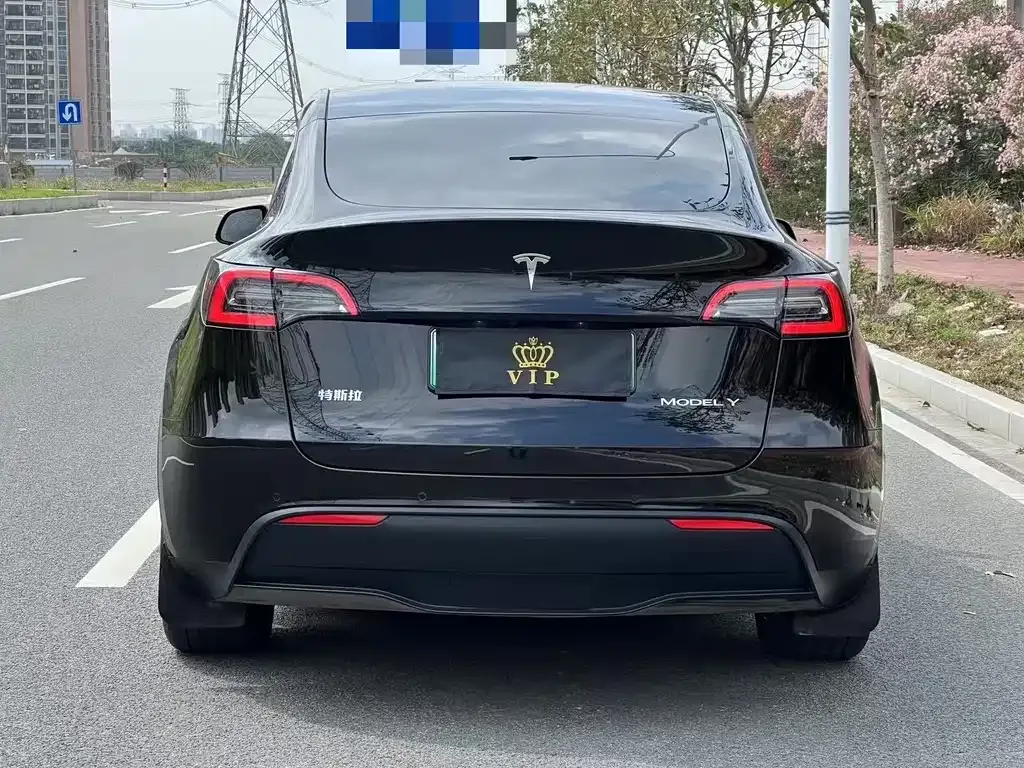 Tesla Model Y — фото 9