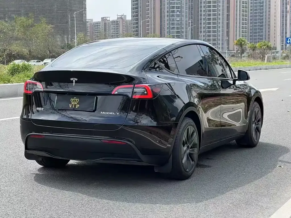 Tesla Model Y — фото 6