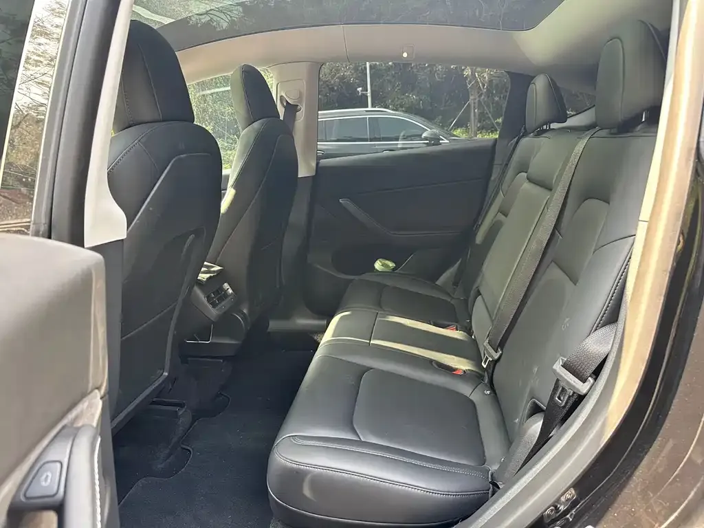 Tesla Model Y 2022 из CN, фото 4