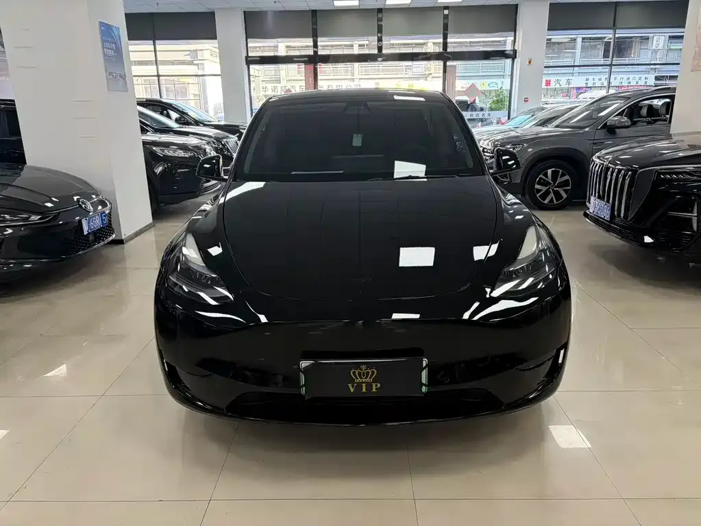 Tesla Model Y — фото 2