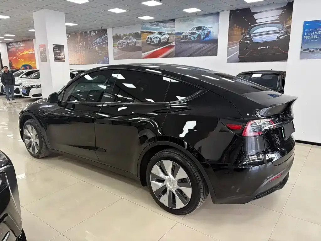 Tesla Model Y — фото 6