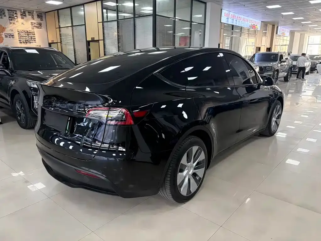 Tesla Model Y — фото 5