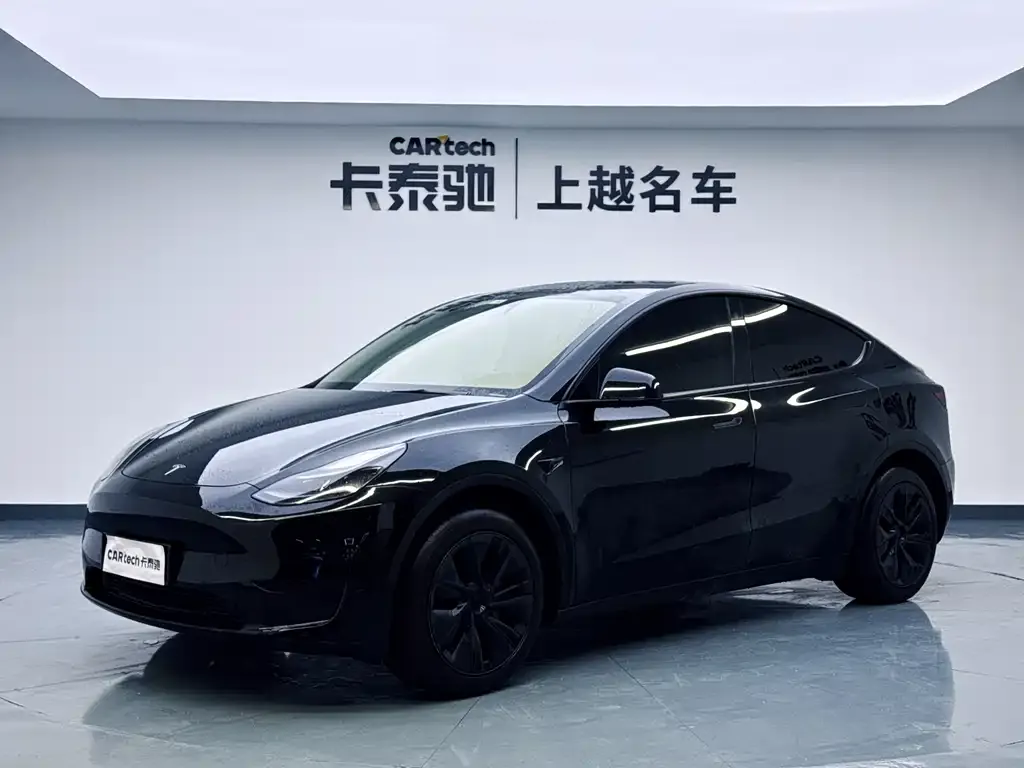Tesla Model Y — фото 1