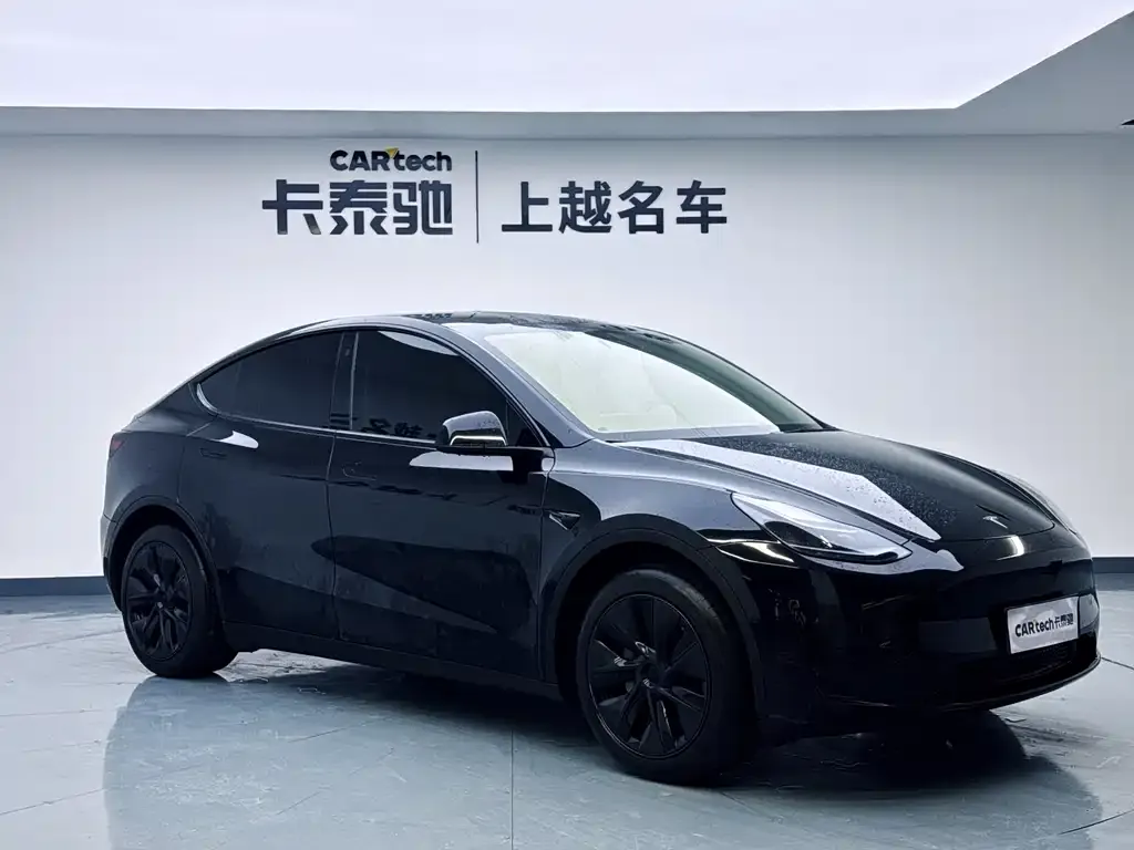Tesla Model Y — фото 5