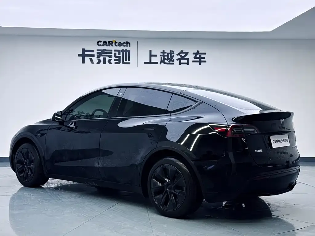 Tesla Model Y — фото 10