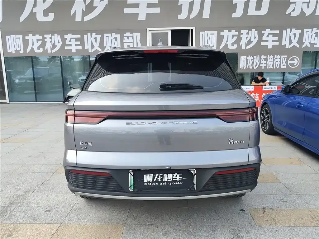 BYD Pro New Energy — фото 6