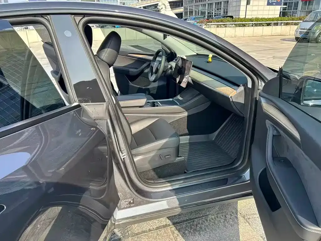 Tesla Model Y — фото 10