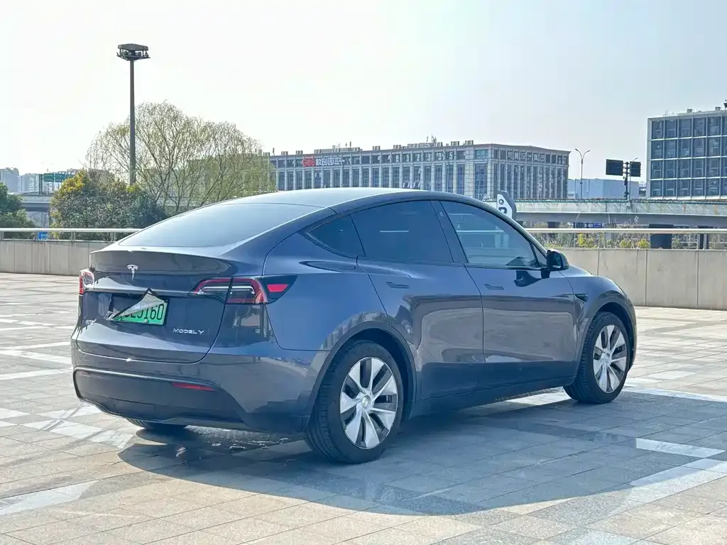 Tesla Model Y — фото 9