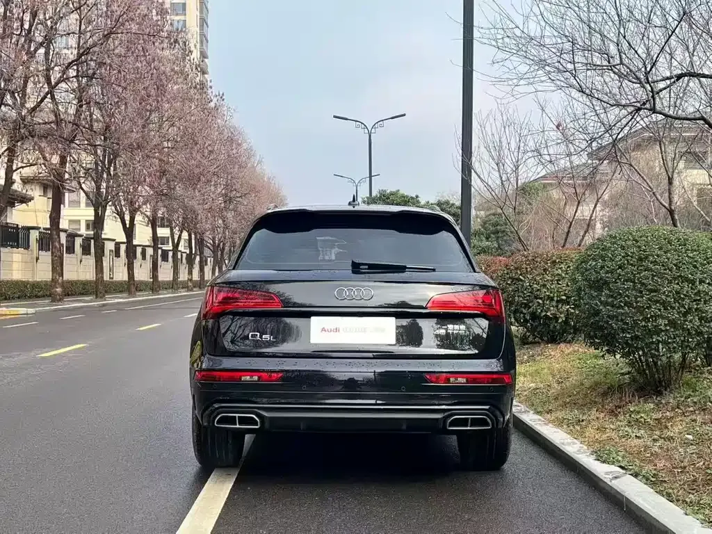Audi Q5L 2025 из CN, фото 2