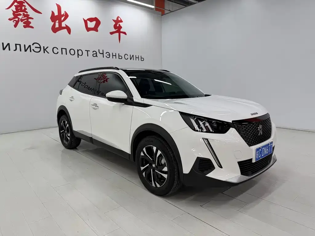 Peugeot 2008 2021 из CN, фото 5