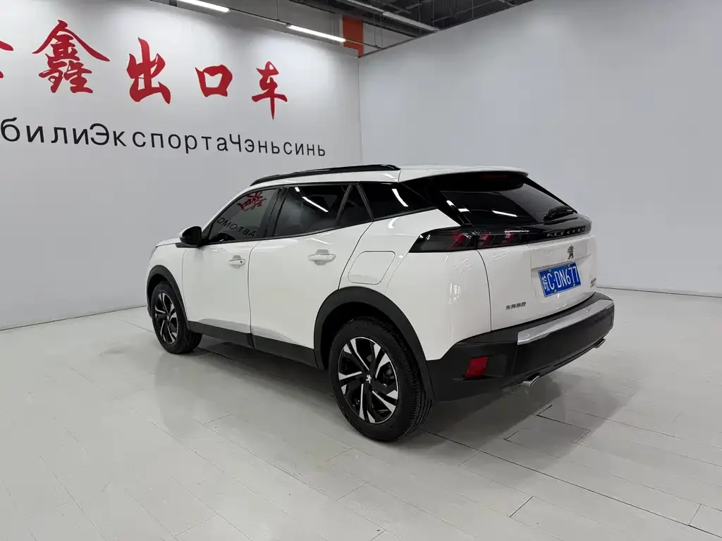 Peugeot 2008 2021 из CN, фото 9