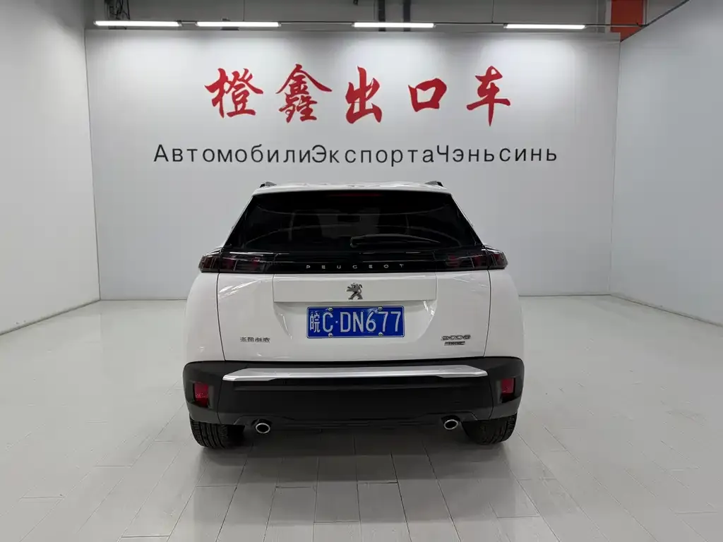 Peugeot 2008 2021 из CN, фото 2
