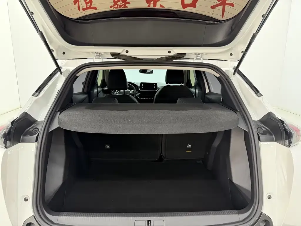 Peugeot 2008 2021 из CN, фото 8