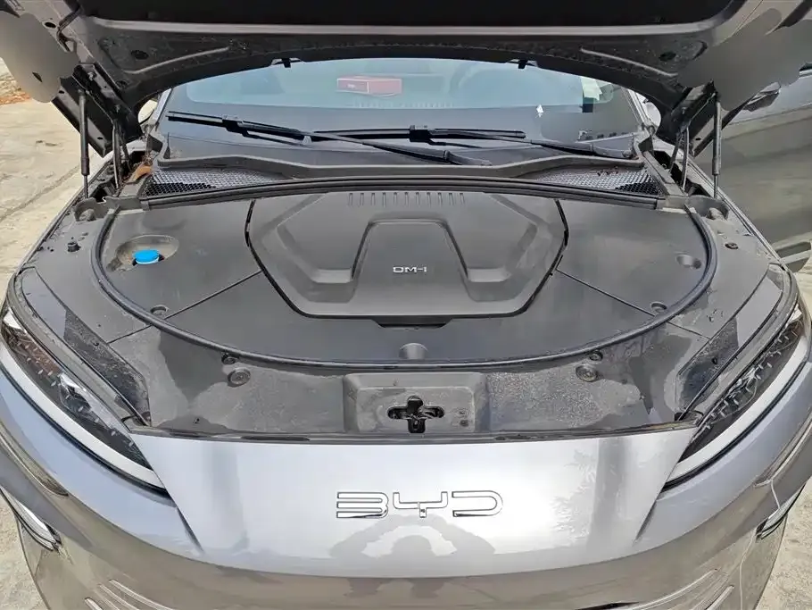BYD PLUS New Energy — фото 10