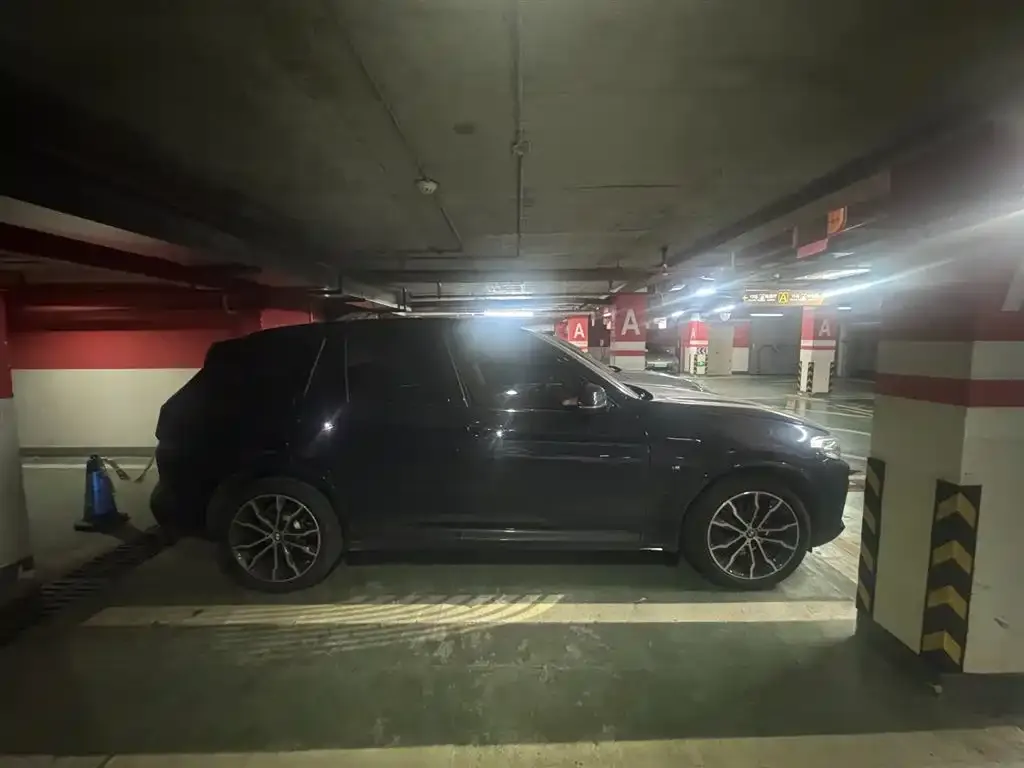 BMW X3 2024 из CN, фото 3
