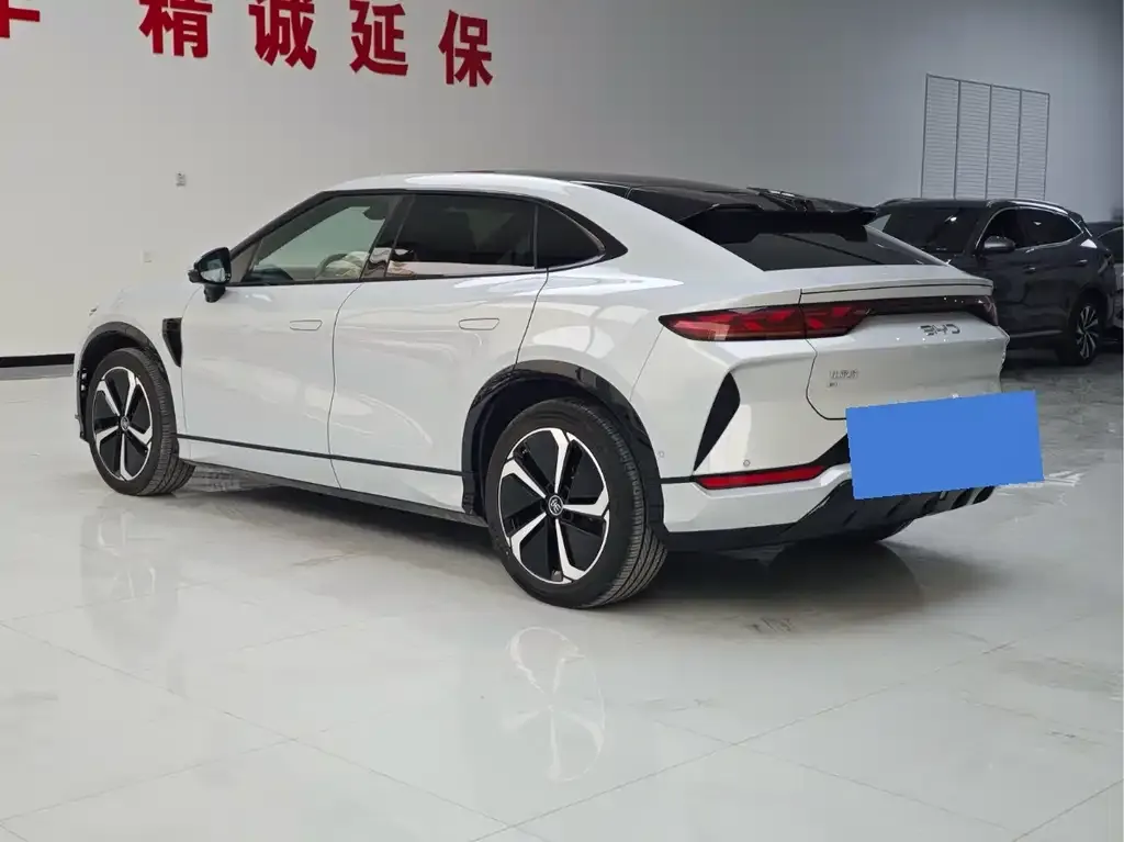 BYD L EV 2025 из CN, фото 8