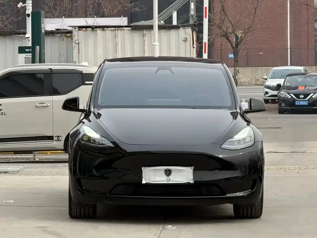 Tesla Model Y 2023 из CN, фото 4