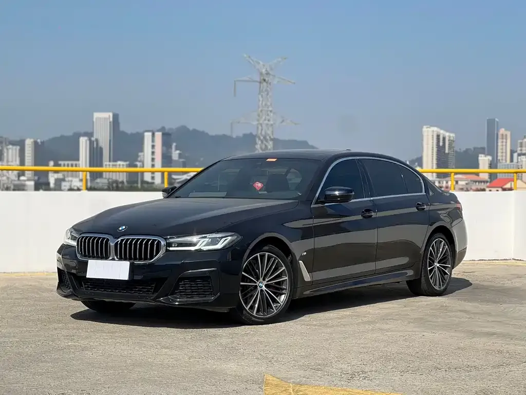 BMW 5 Series 2021 из CN, фото 1