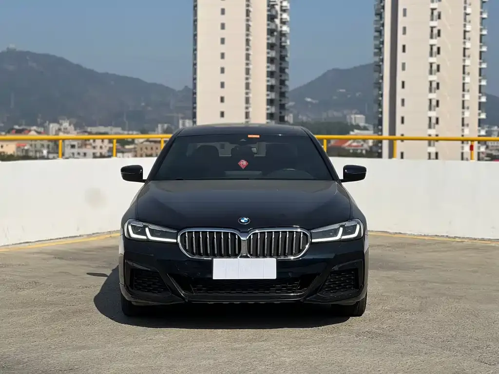 BMW 5 Series 2021 из CN, фото 8