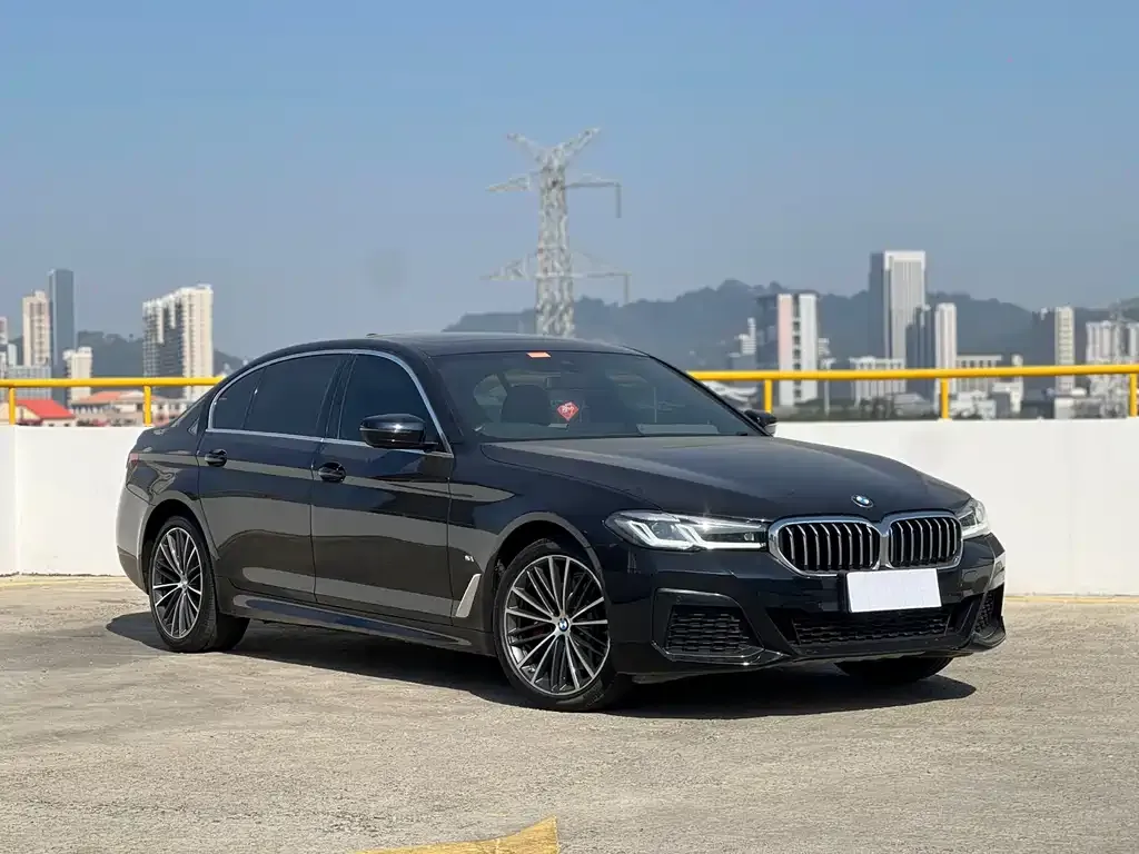 BMW 5 Series 2021 из CN, фото 7