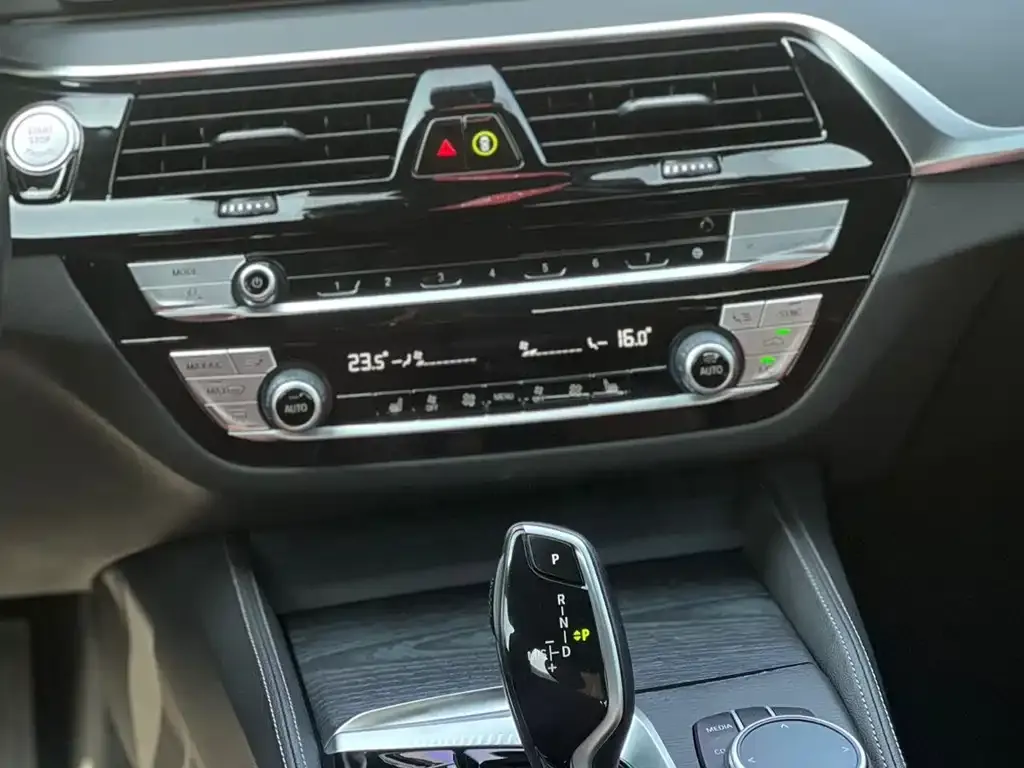 BMW 5 Series 2021 из CN, фото 6
