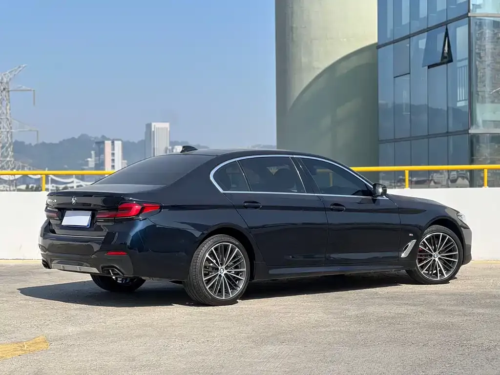 BMW 5 Series 2021 из CN, фото 3