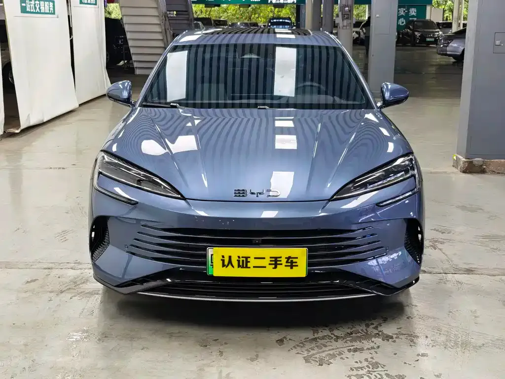 BYD Seal 07 DM-i 2024 из CN, фото 2