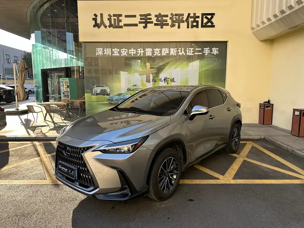Lexus NX 2024 из CN, фото 1