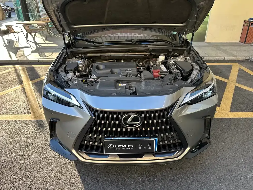 Lexus NX 2024 из CN, фото 9
