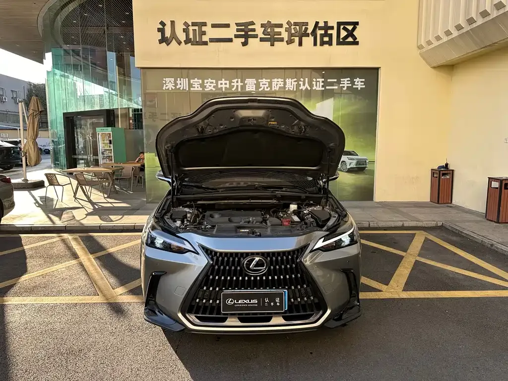 Lexus NX 2024 из CN, фото 6
