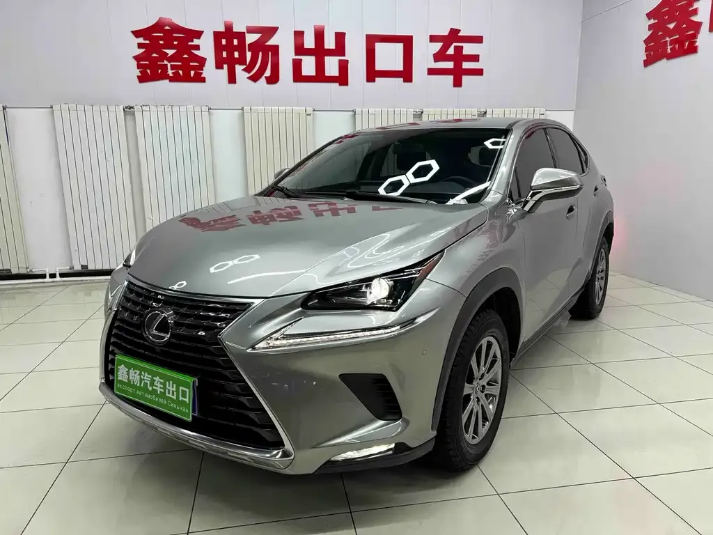 Lexus NX 2021 из CN, фото 1