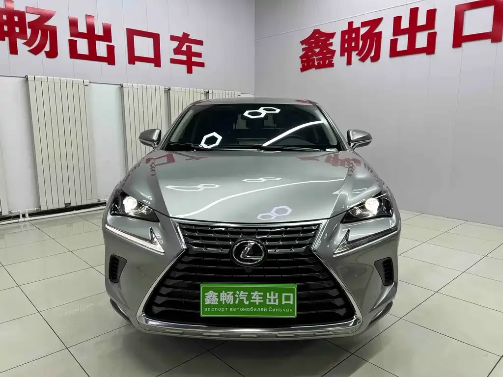 Lexus NX 2021 из CN, фото 7
