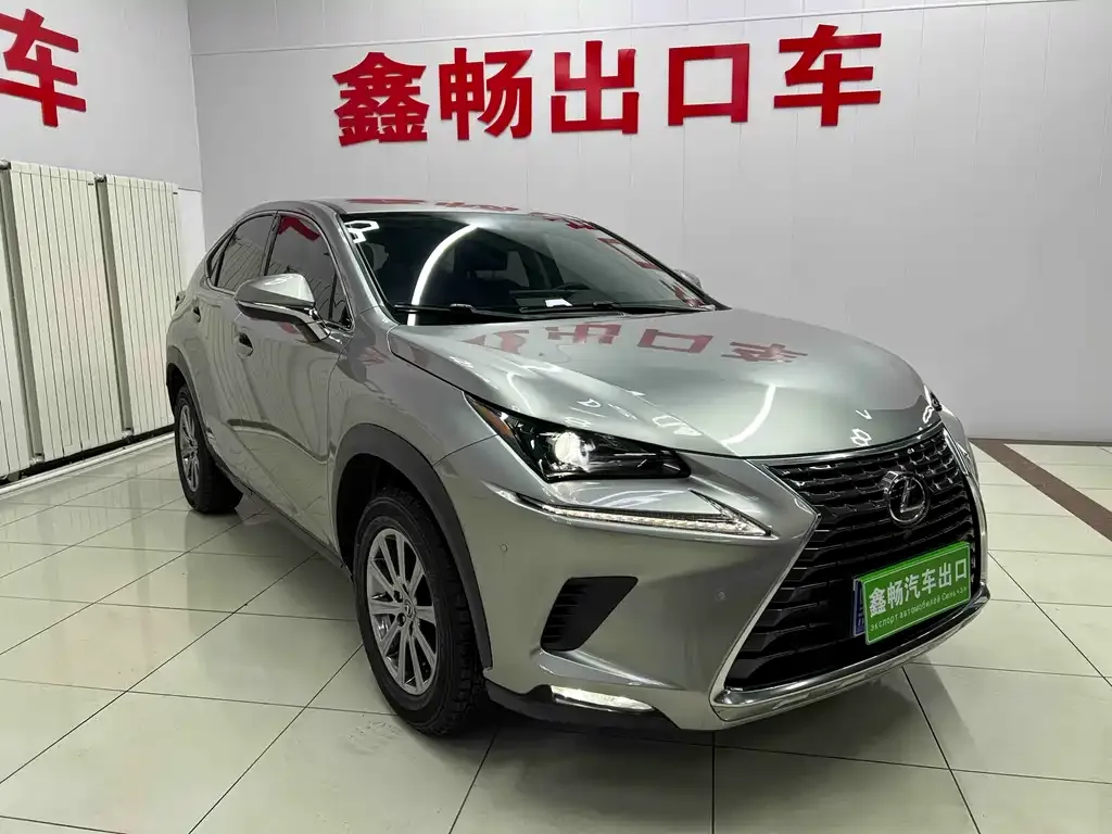 Lexus NX 2021 из CN, фото 2