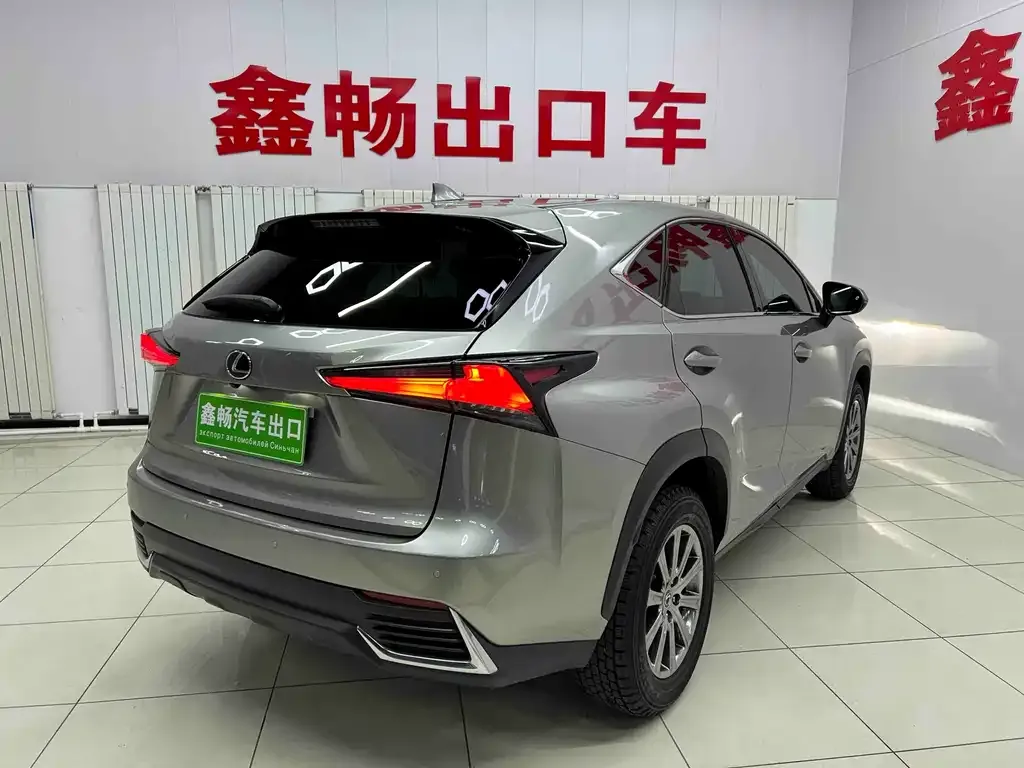 Lexus NX 2021 из CN, фото 6