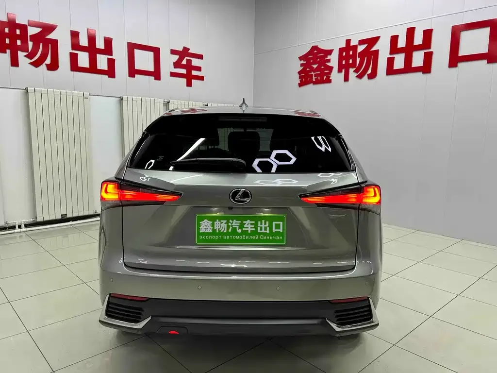 Lexus NX 2021 из CN, фото 5