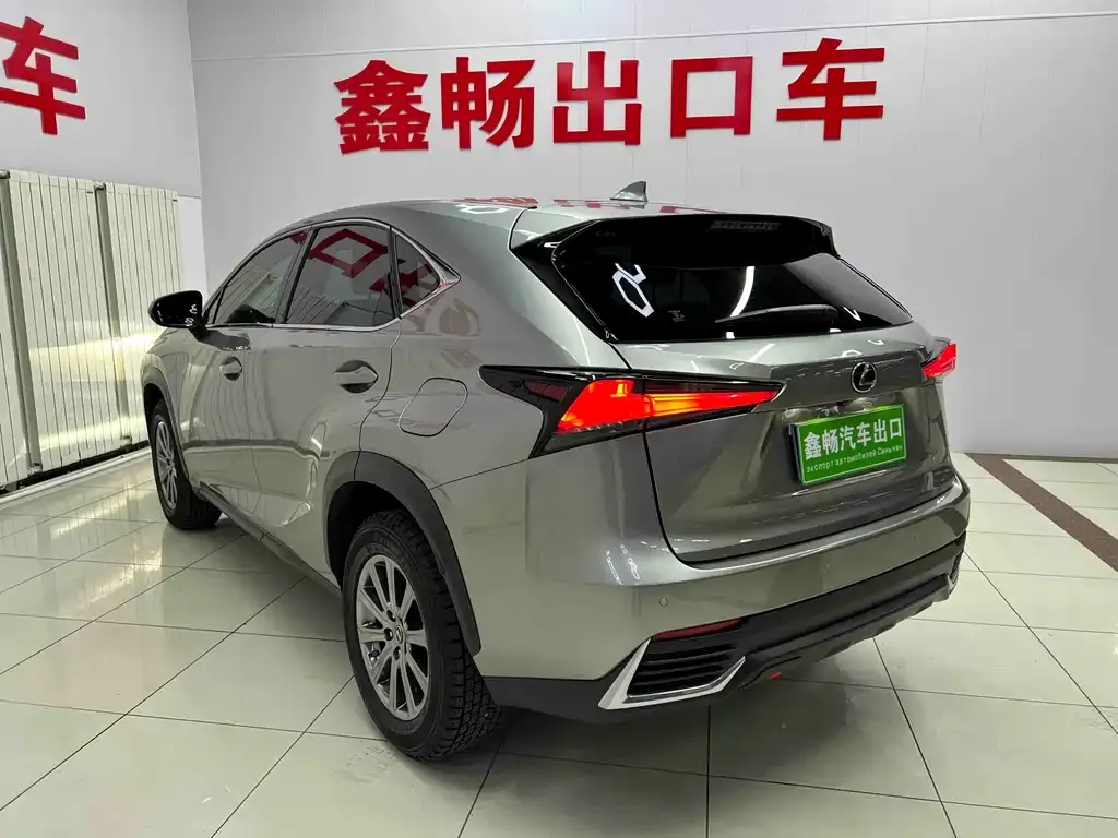 Lexus NX 2021 из CN, фото 3