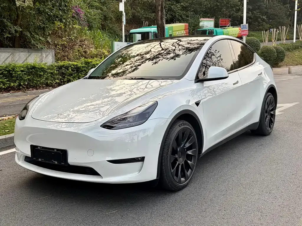 Tesla Model Y — фото 1