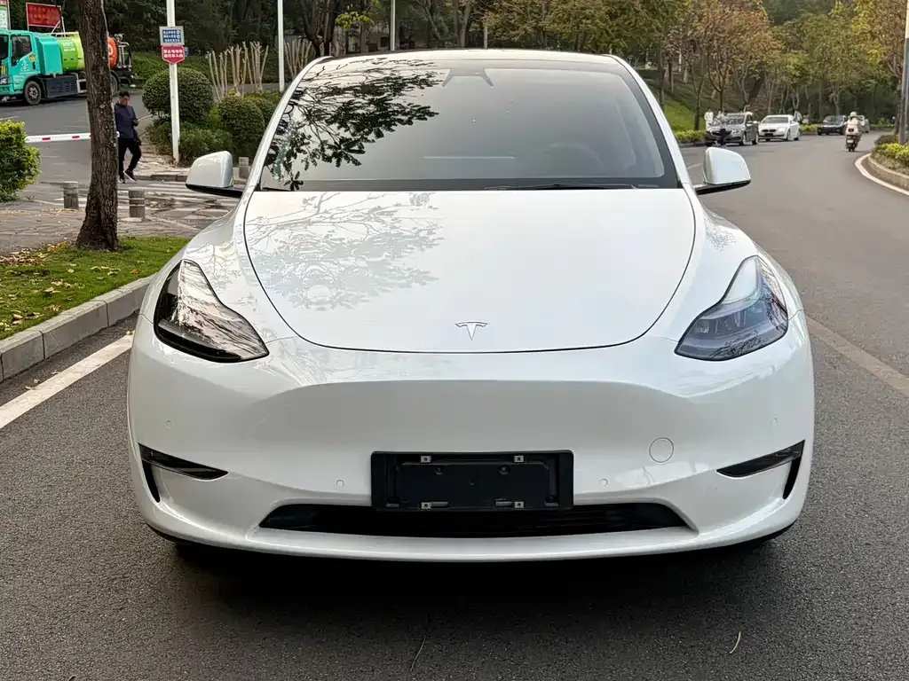 Tesla Model Y — фото 9