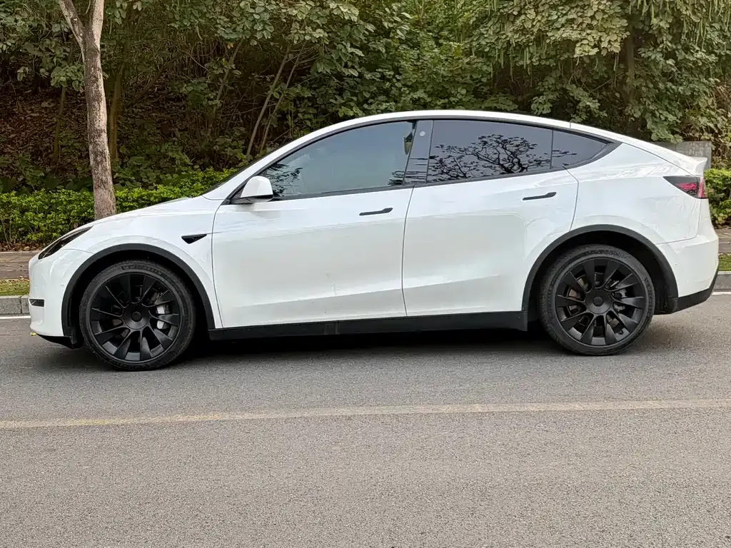 Tesla Model Y — фото 5