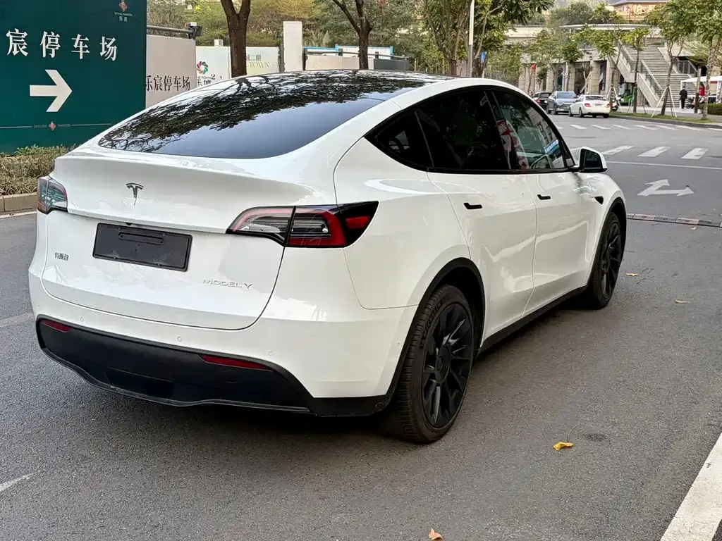 Tesla Model Y — фото 10