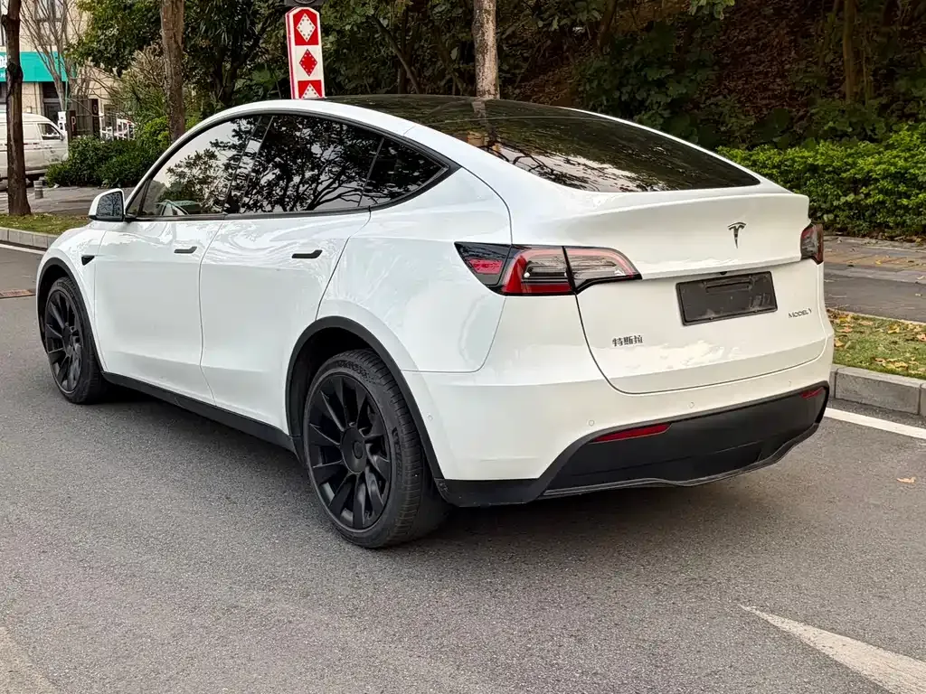 Tesla Model Y — фото 7